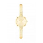 Calvin Klein Watches CK25200182 Women's Gold Stainless Steel Bracelet and Champagne Dial Quartz Watch